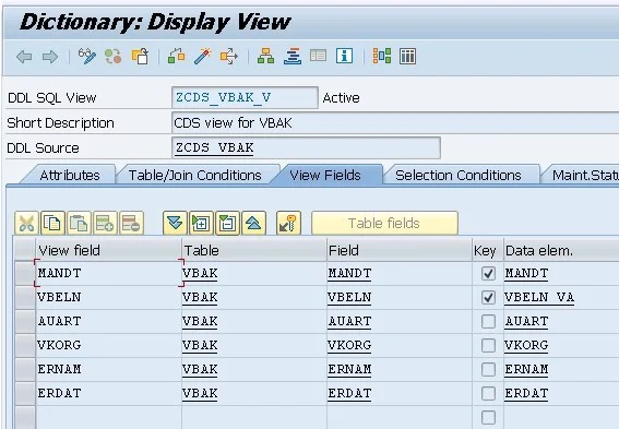 Dictionary View for CDS view